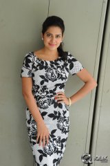 Vishaka Singh at Rowdy Fellow Movie Release Press Meet